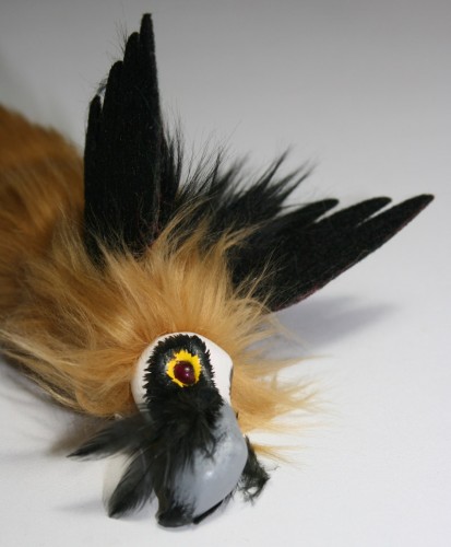 Bearded vulture small.jpg