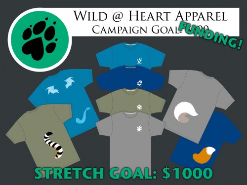 wildheart-kickstart-fund.jpg