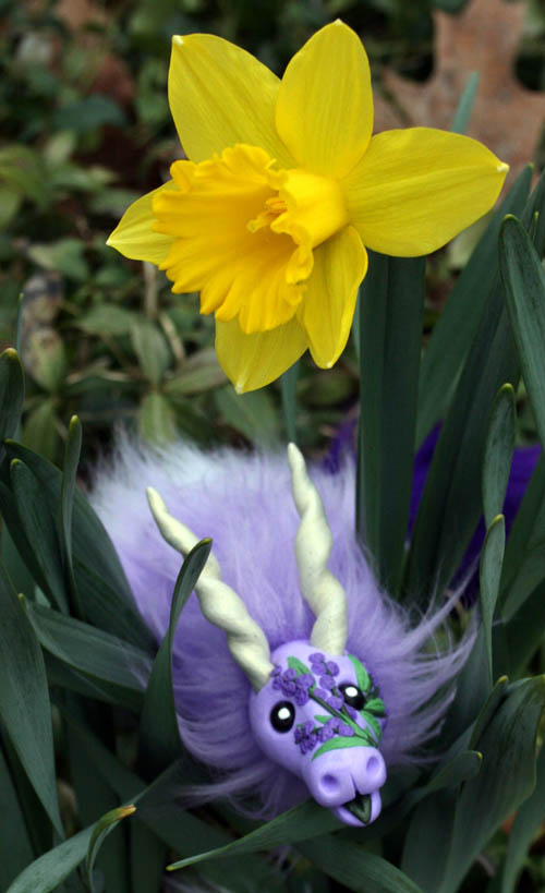 close up smaller.jpg