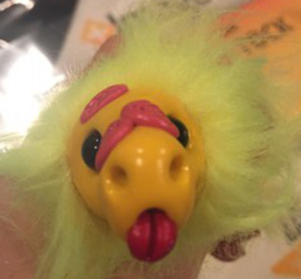 File:Nona Ivy Evergreen.jpg