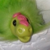Pandango icon.jpg