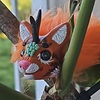 Squirrelflight icon.jpg