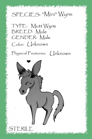 Wyoming card.jpg