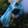 Haru icon.jpg