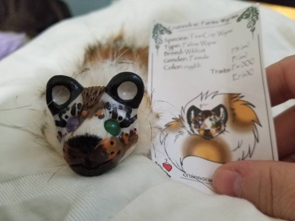 File:Lady Fluffbutt von Cutepuff.jpg