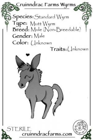Adze card.jpg