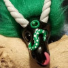 Myco icon.jpg