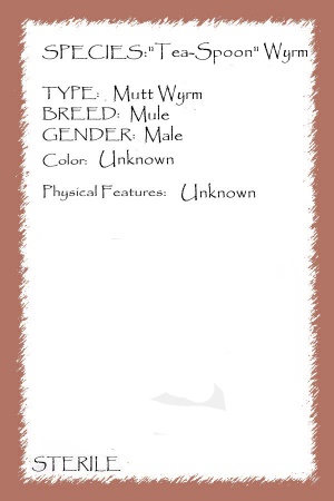Kappa card.jpg