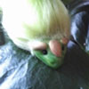 Kappa icon.jpg