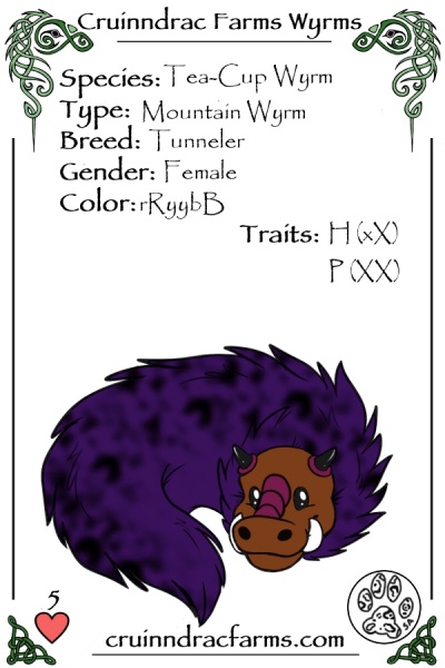 File:Spyro card.jpg