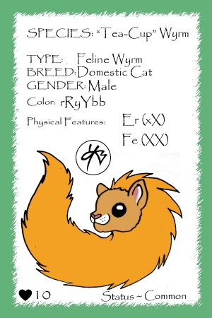 Tangerine card.jpg