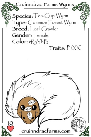 White Nymph card.jpg