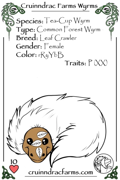 File:White Nymph card.jpg