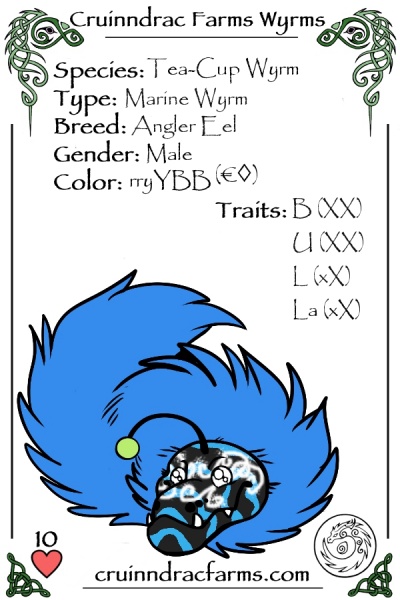 File:Bluebell card.jpg