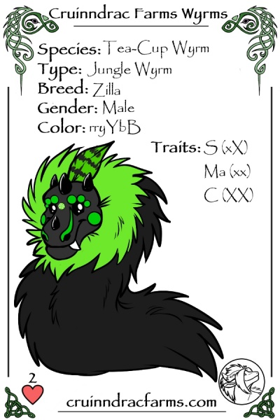 File:Kerrack card.jpg