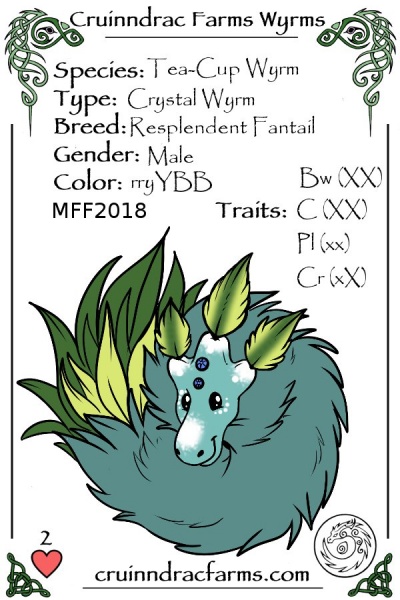 File:Wedgewood card.jpg