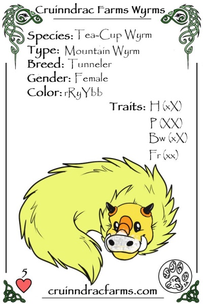 File:Friggle card.jpg