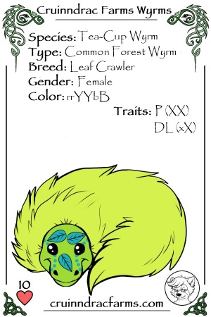 Tilla Andsia card.jpg