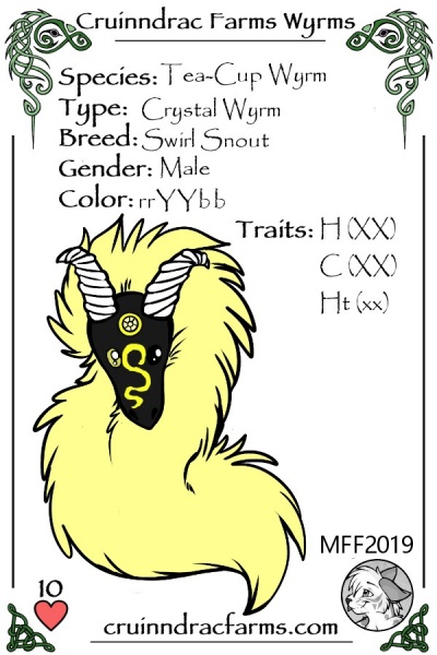 File:Hi-Liter card.jpg