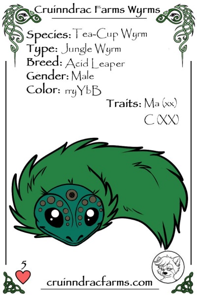 File:G-runt card.jpg