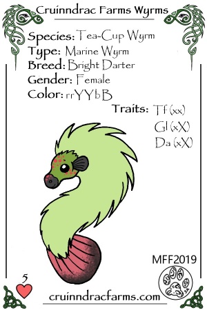 Dayglo Drift card.jpg