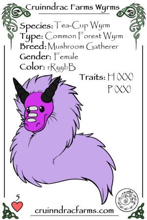 Basube card.jpg