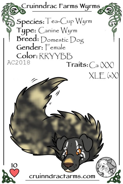 File:Spirit Weaver card.jpg