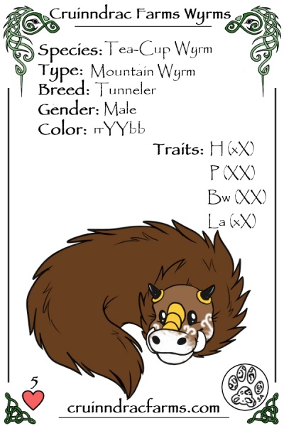 File:MF's Chorizo card.jpg