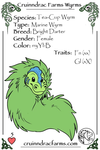 File:Derp-ball card.jpg