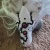 Frost of Hexxus icon.jpg