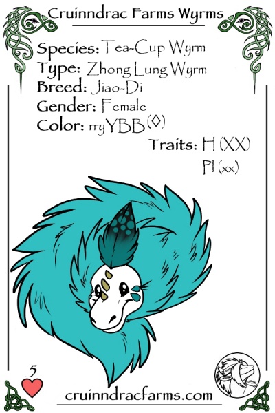 File:Hypnotic card.jpg