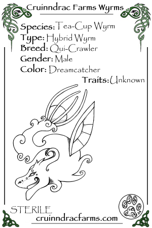 Northern Lights card.png
