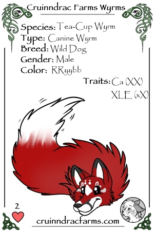 Todd card.jpg