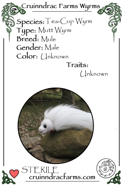 File:Baywyrm card.jpg