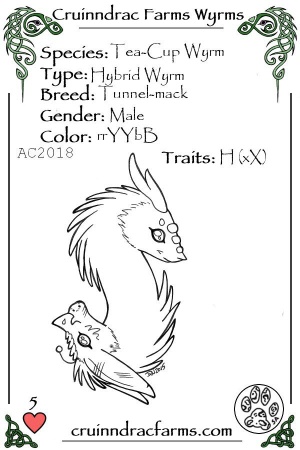 River Rooter card.jpg