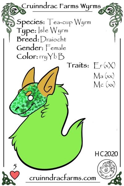 File:Wicklow card.jpg