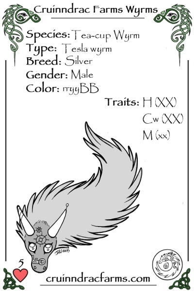 File:Dollar card.jpg