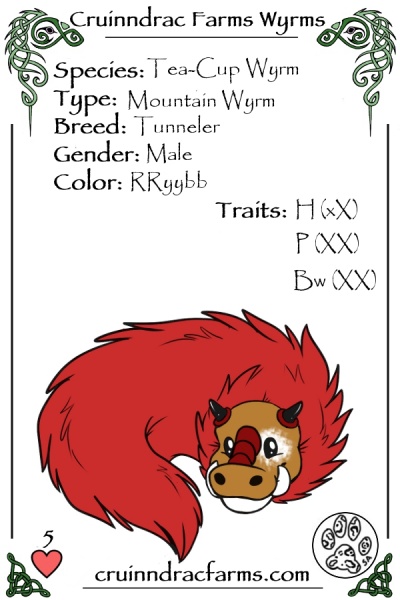 File:Hornell card.jpg