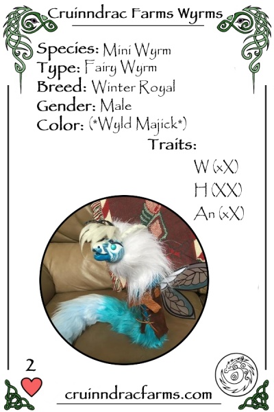 File:Jack Frost card.jpg