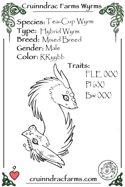 File:Wolfsong's Fire on the Mountain card.jpg