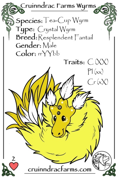 File:Forsythia card.jpg