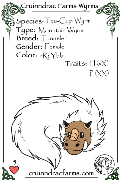 File:KosherPiggie card.jpg