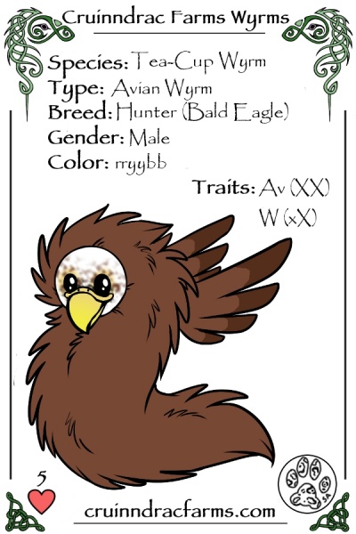 File:Falcor card.jpg