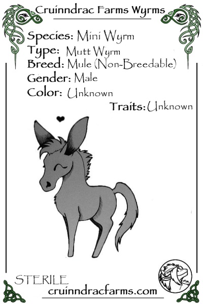 File:Monstrum card.jpg