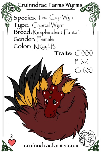 File:TigerLily card.jpg