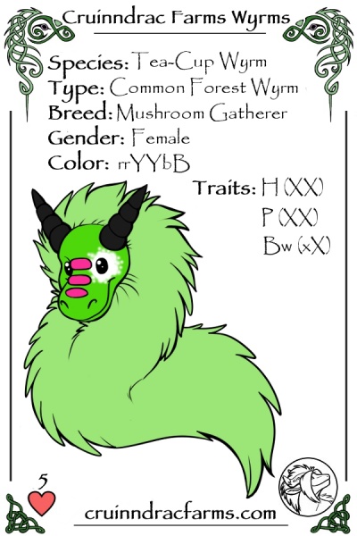 File:Coleus card.jpg