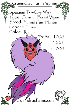 Fuchsia Lady card.jpg