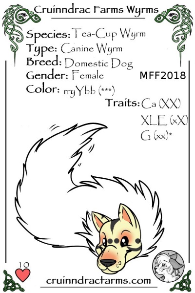 File:Extract card.jpg