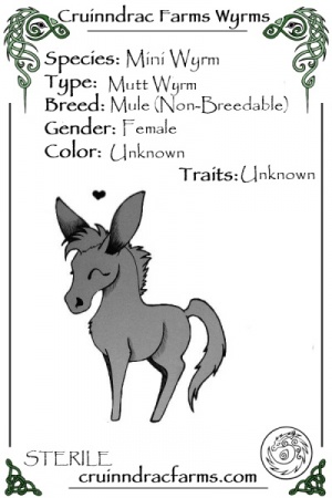 Wonder Wyrman card.jpg