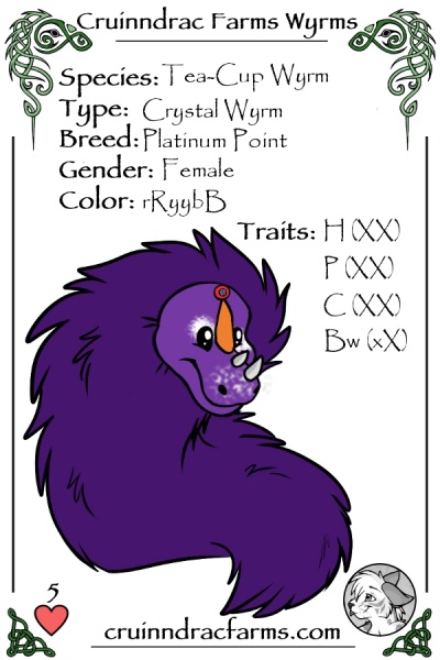 File:Orchid. card.jpg